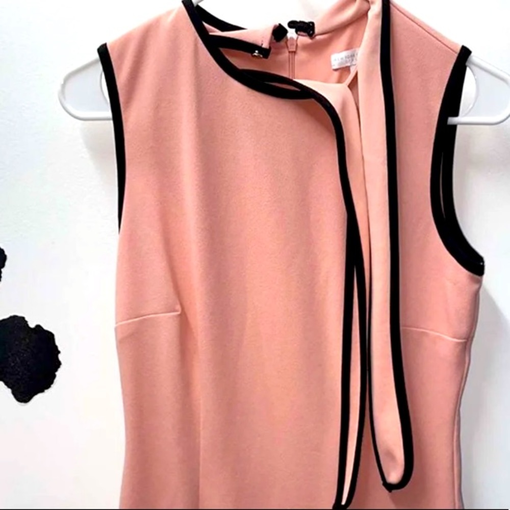 Pink Dress with Tie